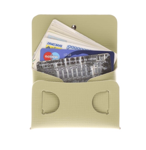 CLUTCH XS astuccio CHEF SALVIA