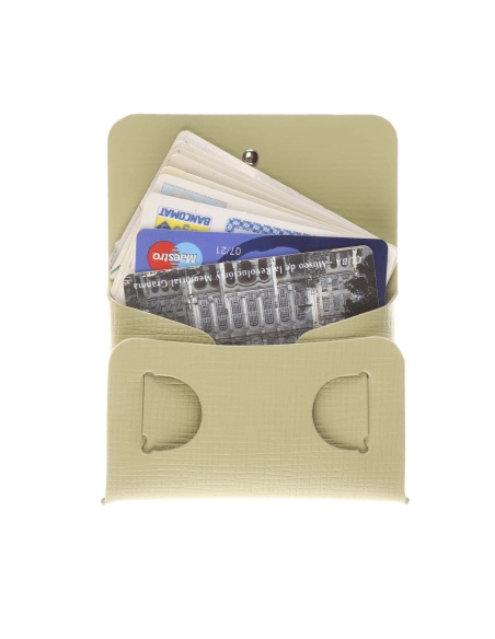 CLUTCH XS astuccio CHEF SALVIA